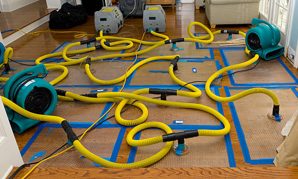 Professional Crawl Space Water Removal technician working in Round Lake, IL